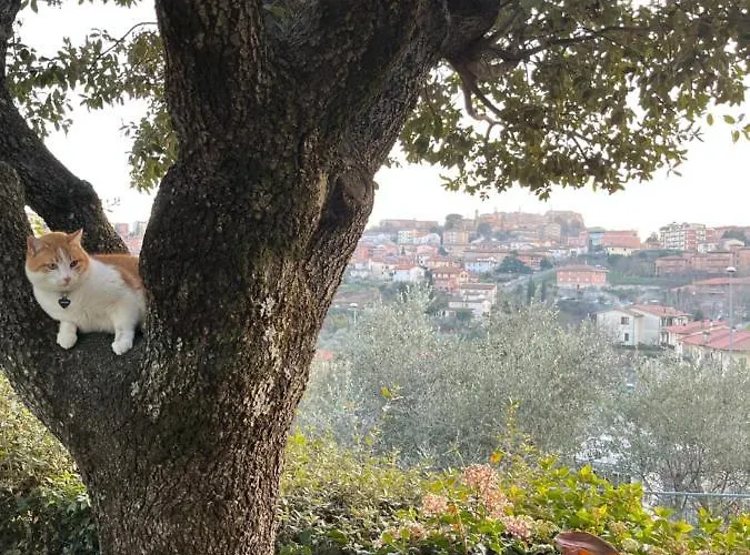 Fe -choose Panoramic View, Jacuzzi, Private Parking Semesterbostad *